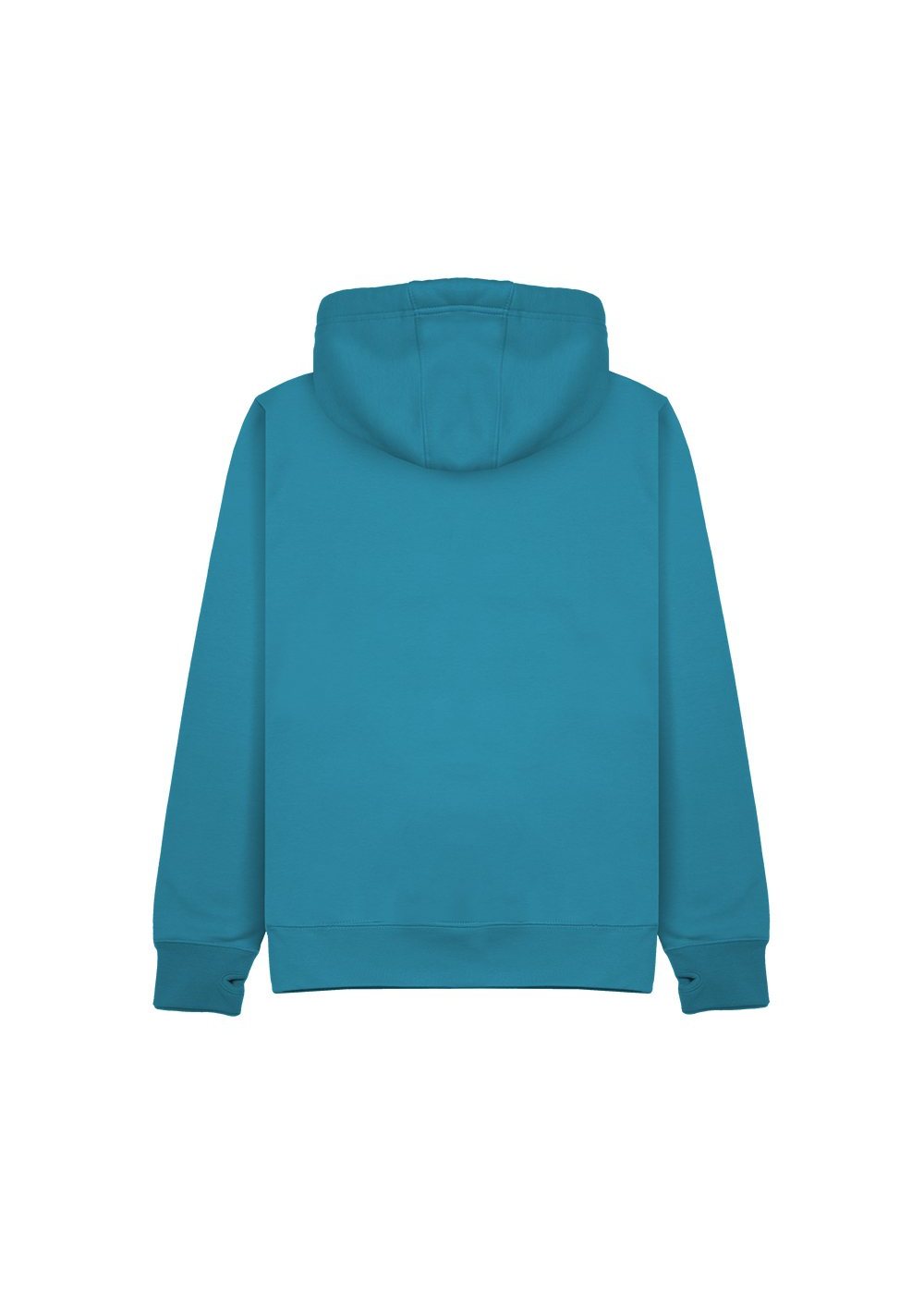 Premium Hoodie in Tropical Blue (back)
